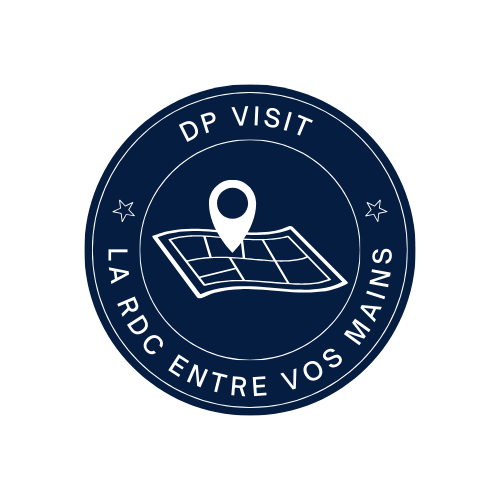 Logo DP Visit